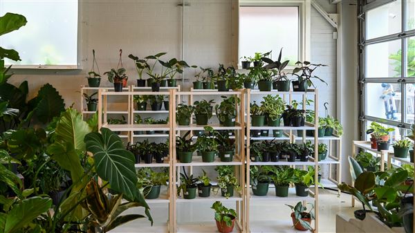 Eden Plant Co. (6/27/2023 - Credits: Houston Film Commission)