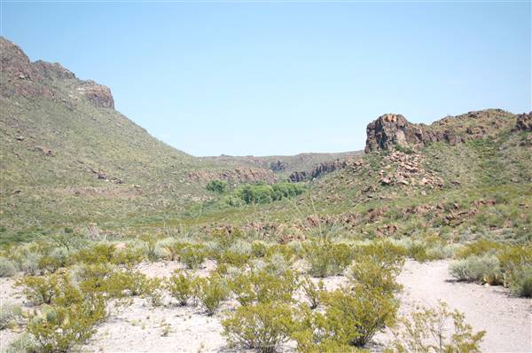 Big Bend Ranch State Park - Yedras (9/23/2010)