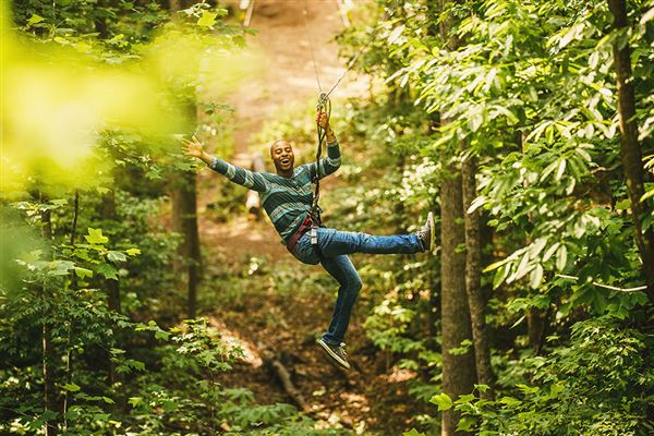 Go Ape Zipline and Adventure Park (5/1/2023 - Credits: Owner)