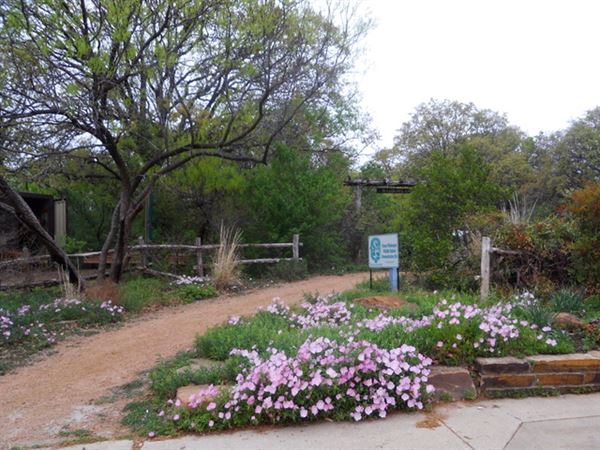 The Molly Hollar Wildscape (5/1/2023 - Credits: Owner)