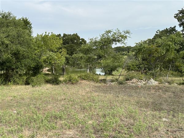 Fairlea Longhorn Ranch (7/20/2023 - Credits: K.Beck)