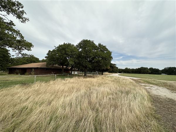 Fairlea Longhorn Ranch (7/20/2023 - Credits: K.Beck)
