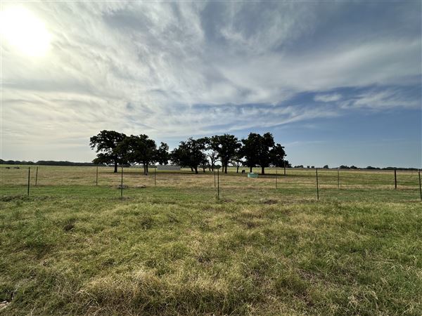 Fairlea Longhorn Ranch (7/20/2023 - Credits: K.Beck)