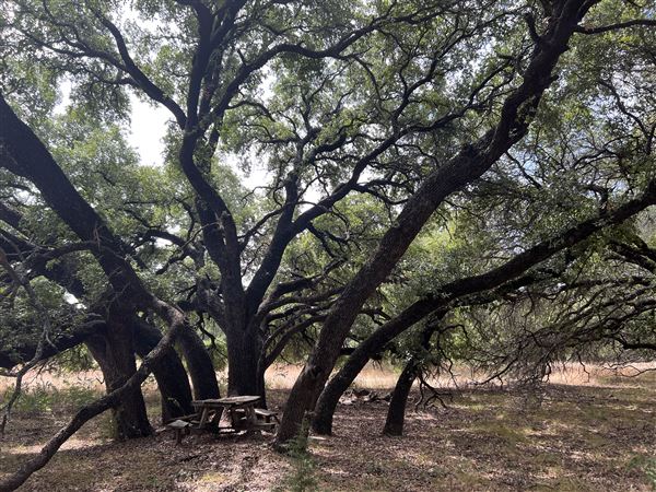 Stone House Ranch (2/2/2024 - Credits: Kate Campos)