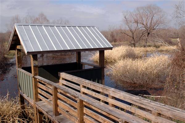 Mineola Nature Preserve (2/11/2009 - Credits: FFTX)