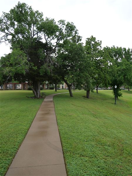 Lake Cliff Park (4/26/2024 - Credits: Alex Payne)