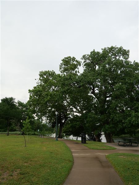 Lake Cliff Park (4/26/2024 - Credits: Alex Payne)