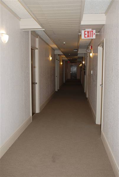 Cactus Hotel (12/2/2010)