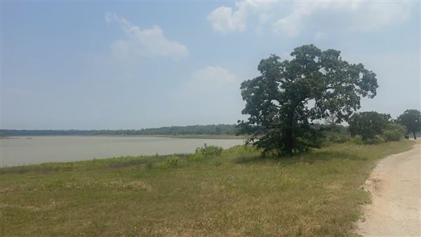 Lake Daniel (6/11/2024 - Credits: Jessica Sutter)