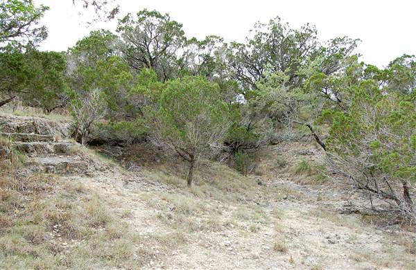 Sinya on Lone Man Creek (4/6/2011)