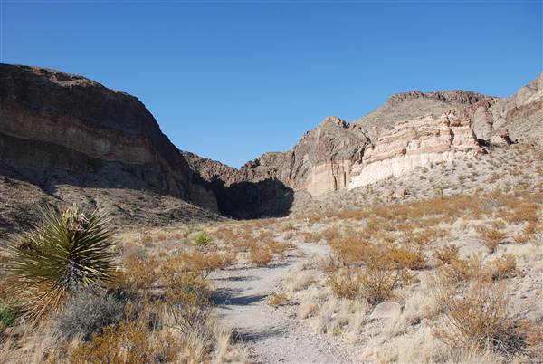 Big Bend National Park - Burro Mesa Canyon (5/11/2011)