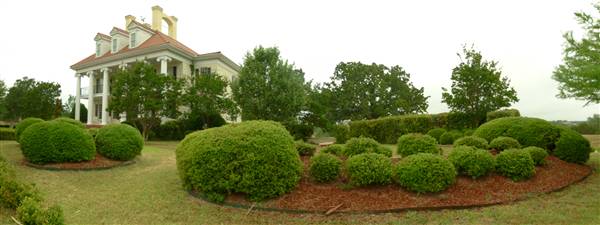 Pool House (6/16/2011)