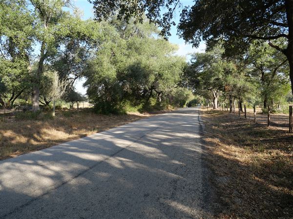 Jones Road (10/29/2024 - Credits: Alex Payne)