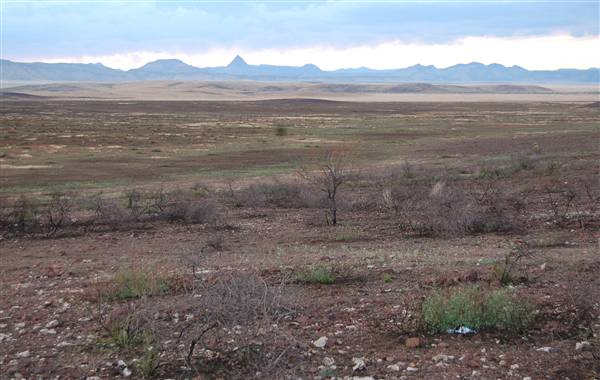 Terrain East of Alpine on Hwy 90 (9/19/2011)