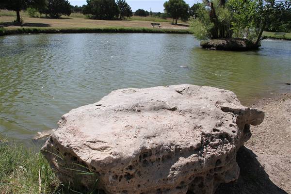 Conder Park (10/25/2011)