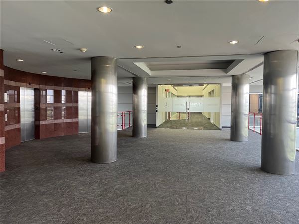 Vivaverse Campus (4/21/2025 - Credits: Ulises Vidal)