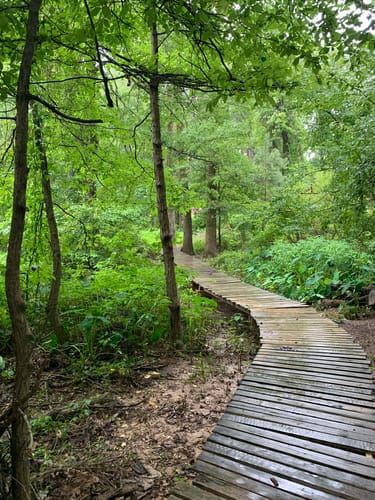 Bringle Lake Park (3/7/2025 - Credits: submitted by: Brooke Stone)