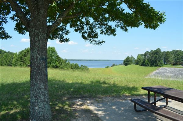 Wright Patman Lake (4/29/2025 - Credits: submitted by: Brooke  Stone)