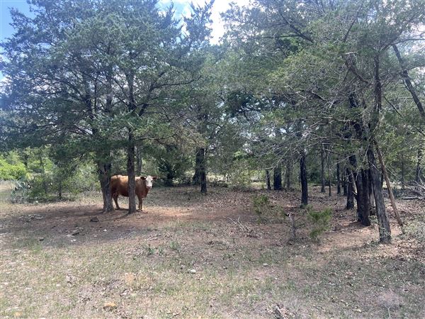 McDonald Cedar Creek Legacy Estate (5/24/2025 - Credits: Mayerland Harris)