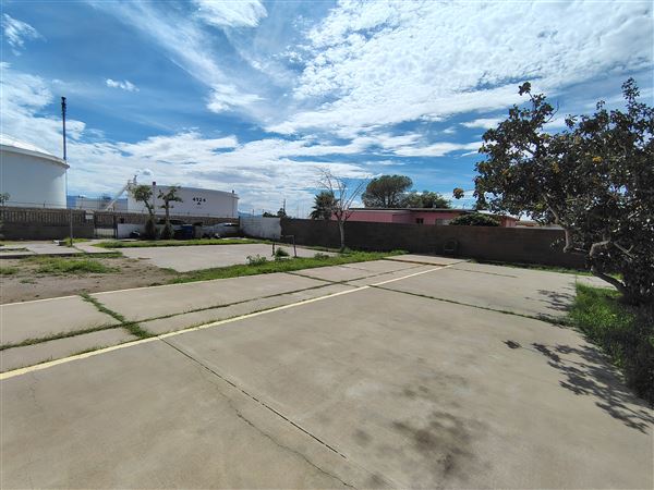 Tampa Avenue House (7/21/2025 - Credits: Melody Palacios)