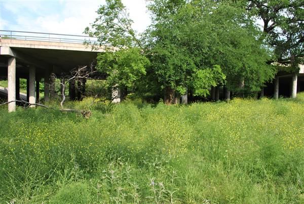 Phil Hardberger Park (4/7/2012)
