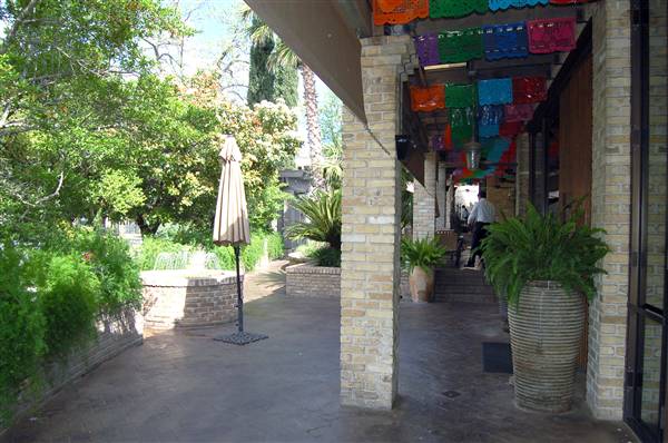 Paloma Blanca (4/3/2012)