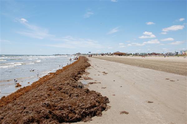 Stewart Beach (4/19/2012)