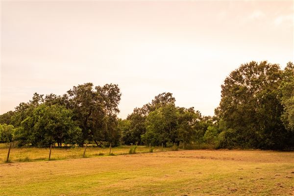 The Oaks of Anahuac (8/8/2025 - Credits: Jeff Fitlow Photography)