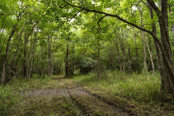 The Oaks of Anahuac (8/8/2025 - Credits: Jeff Fitlow Photography)