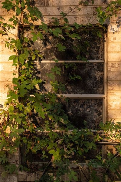 The Oaks of Anahuac (8/8/2025 - Credits: Jeff Fitlow Photography)