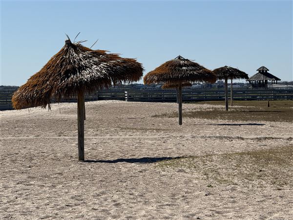Lighthouse Beach Park & Campground (1/9/2026 - Credits: submitted by: Tania French)