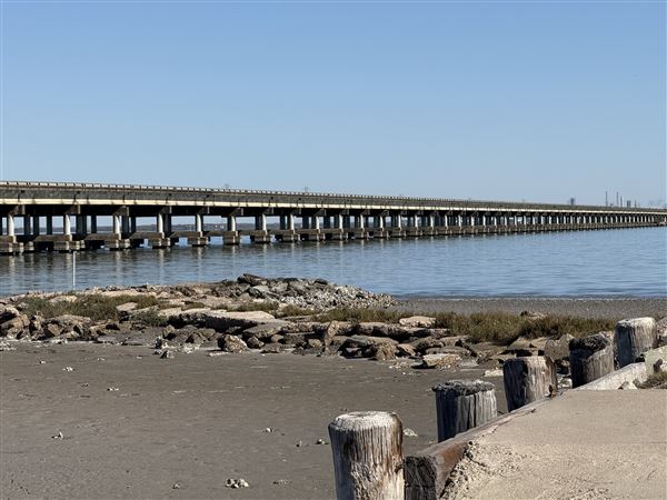 Lighthouse Beach Park & Campground (1/9/2026 - Credits: submitted by: Tania French)