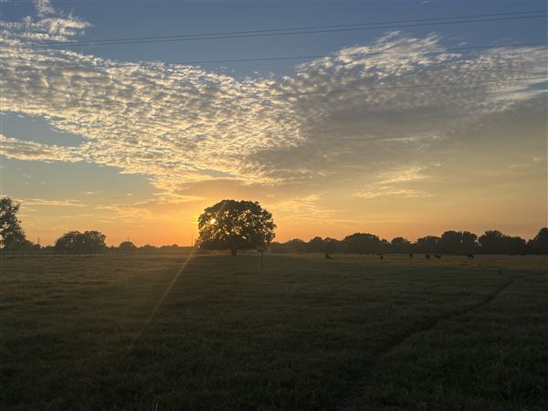 Evans Ranch (9/20/2024 - Credits: submitted by: kate evans)
