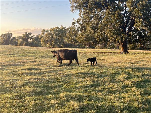 Evans Ranch (9/20/2024 - Credits: submitted by: kate evans)