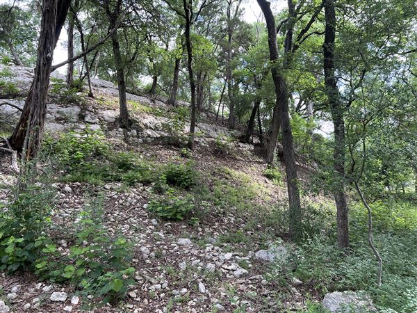 Riva Ridge (2/4/2026 - Credits: submitted by: Sabina  Nugent)