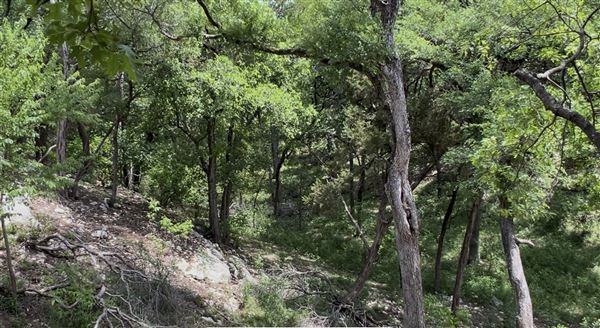 Riva Ridge (2/4/2026 - Credits: submitted by: Sabina  Nugent)