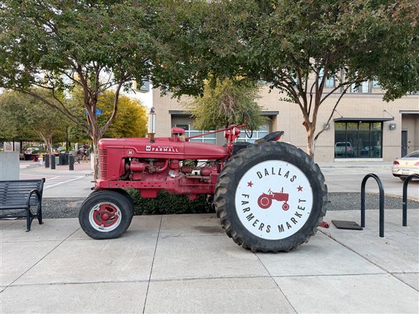 Dallas Farmers Market (11/14/2025 - Credits: Austin Flores)