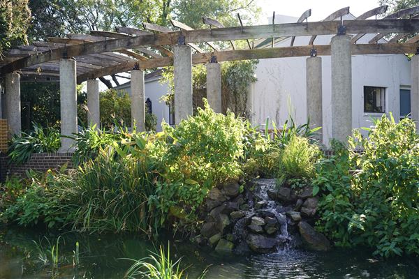 Texas Discovery Gardens (2/5/2026 - Credits: Austin Flores)