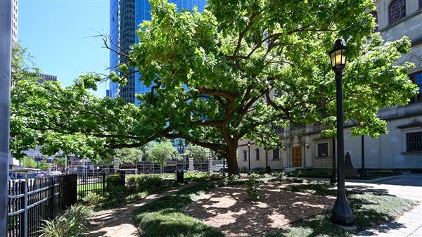 Julia Ideson Building - Houston Public Library (4/7/2026 - Credits: Houston Film Commission)