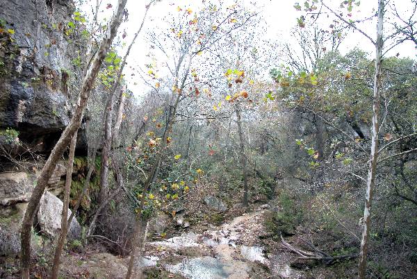 Milton Reimers Ranch County Park (11/29/2004)