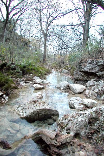 Milton Reimers Ranch County Park (11/29/2004)
