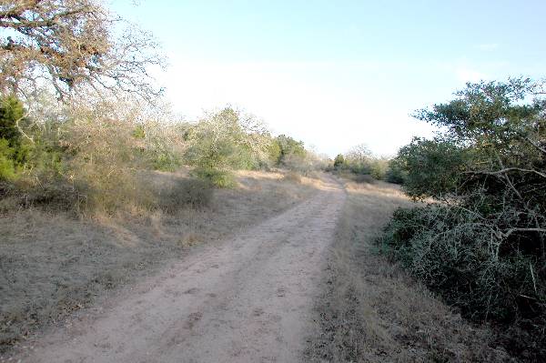 McKinney Roughs Nature Park (1/4/2005)