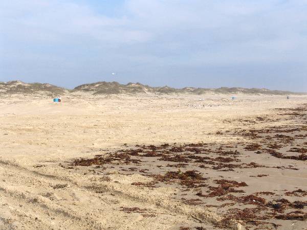 Boca Chica Beach & Dunes (3/2/2005)
