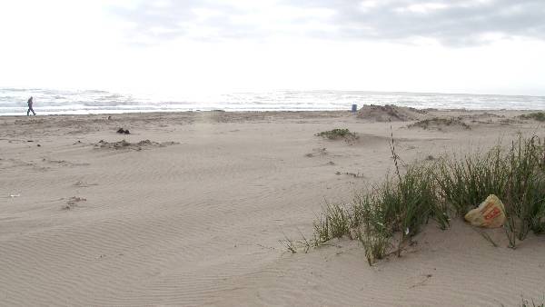 Boca Chica Beach & Dunes (3/2/2005)