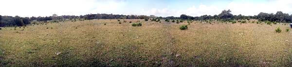 Storm Ranch (10/1/2001)