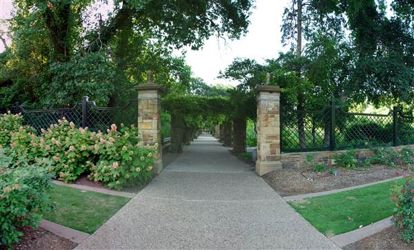 Fort Worth Botanic Garden - Rose Garden (5/16/2012)