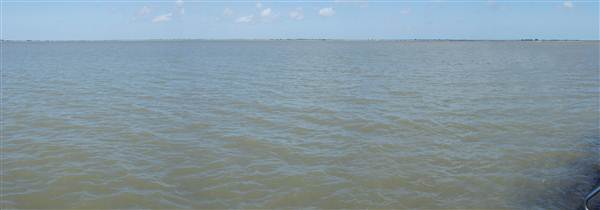 Palacios Seawall (5/30/2012)