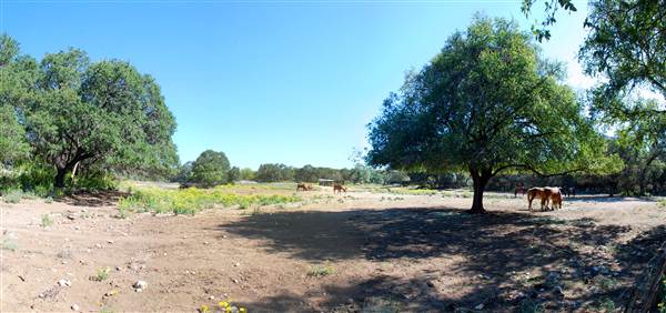 Flying L Guest Ranch (10/8/2012)