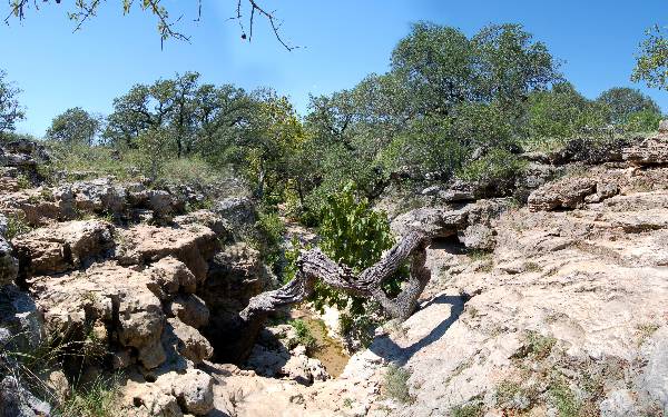 Milton Reimers Ranch County Park (9/21/2006)