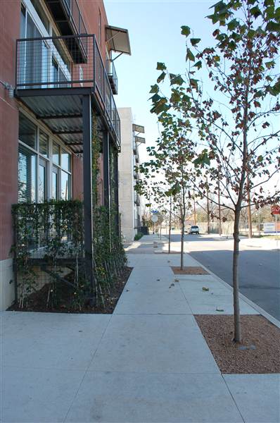 1221 Broadway Lofts (2/7/2013)